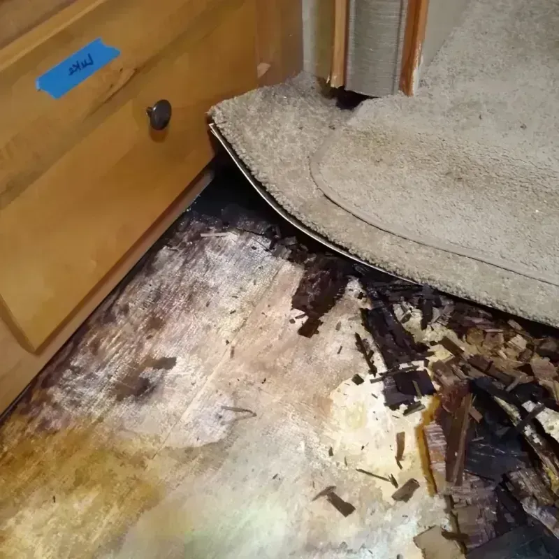 Wood Floor Water Damage in Grover Beach, CA